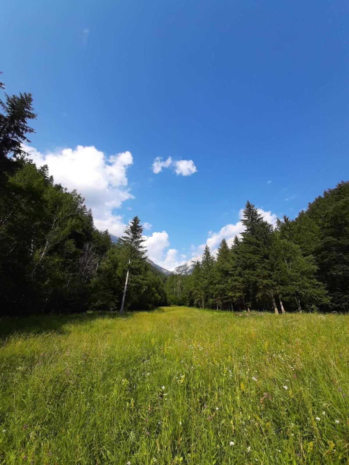 Camping & Glamping Grintovec Preddvor Exterior photo